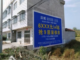 蚌埠墙体广告质量分析