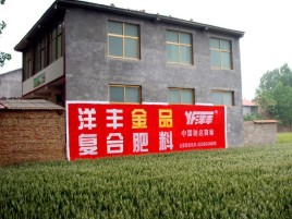 蚌埠如何让墙体广告展现最大化效果